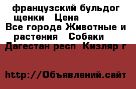 французский бульдог щенки › Цена ­ 50 000 - Все города Животные и растения » Собаки   . Дагестан респ.,Кизляр г.